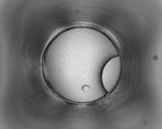 X0000101141283200806270728
