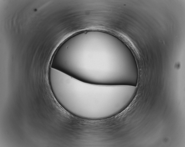 X0000101141284200806270728