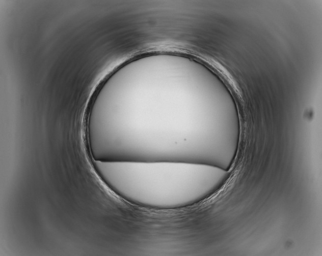 X0000101141285200806270728