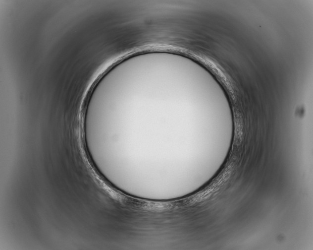 X0000101141286200806270728