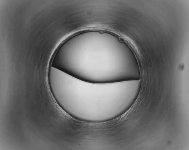 X0000101141288200806270728