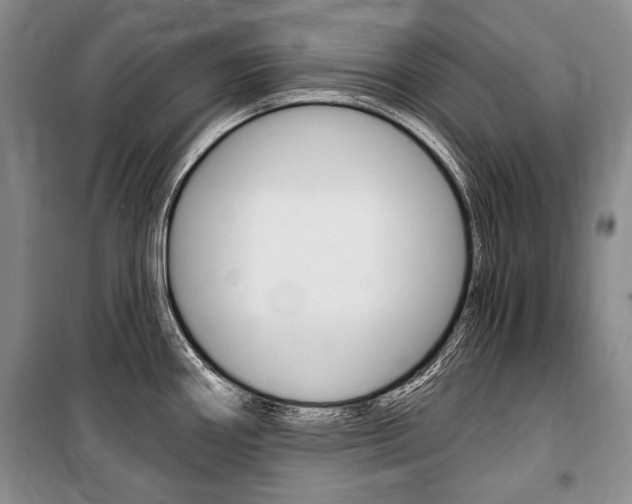 X0000101141290200806270728