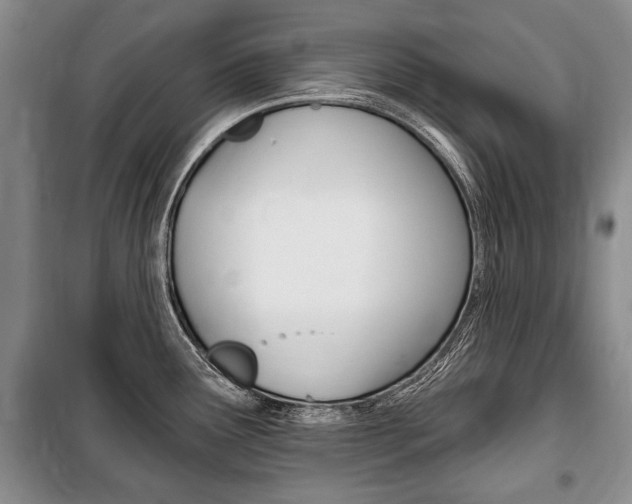 X0000101141291200806270728