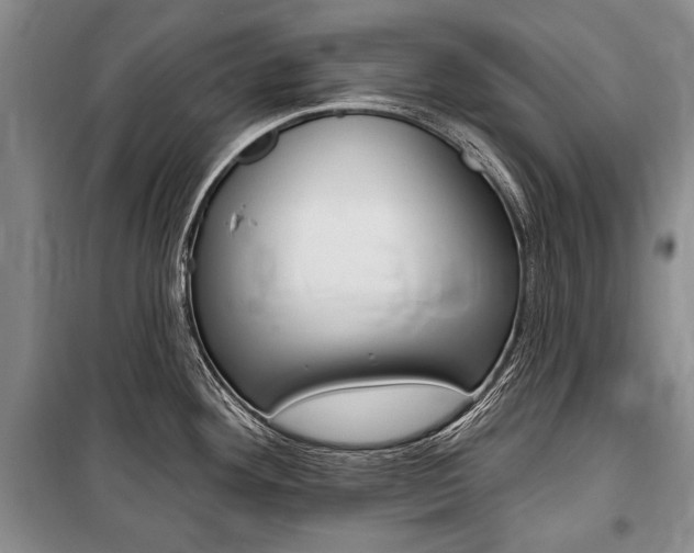 X0000101141292200806270728