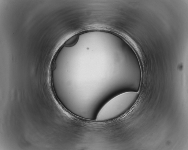 X0000101141293200806270728
