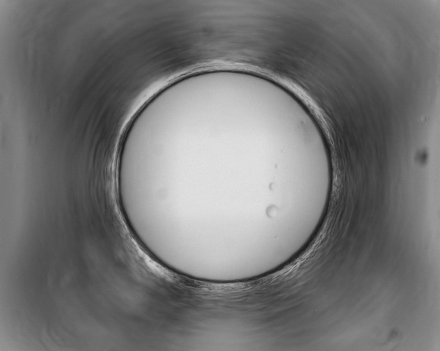 X0000101141294200806270728