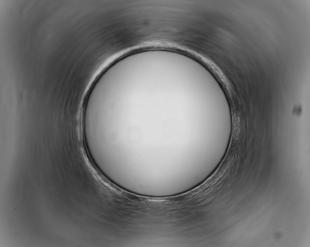 X0000101141295200806270728
