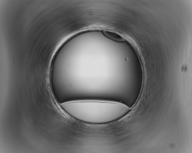 X0000101141296200806270728