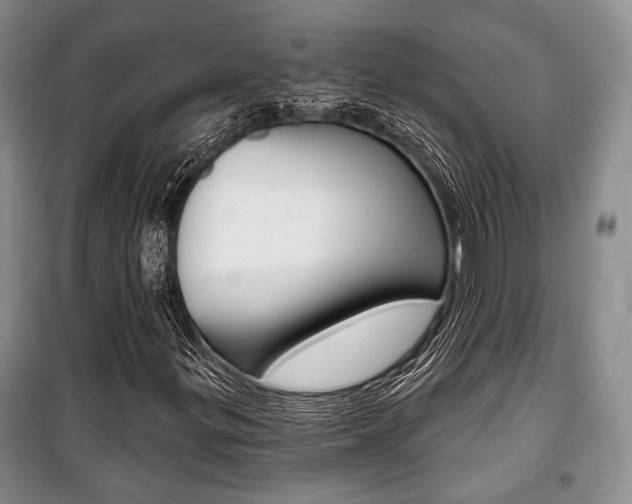 X0000101141299200806270727