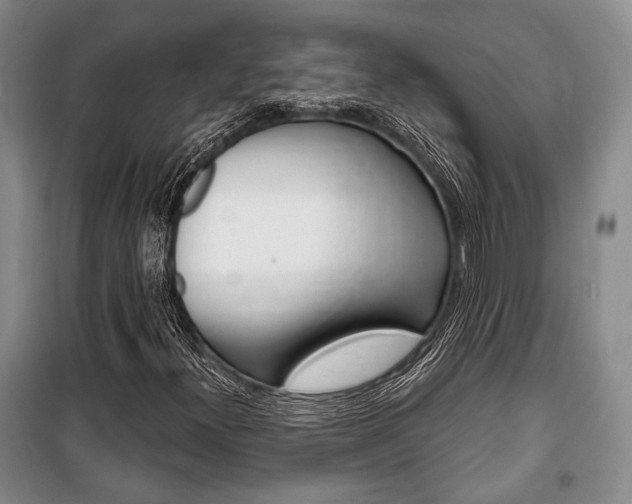 X0000101141300200806270727