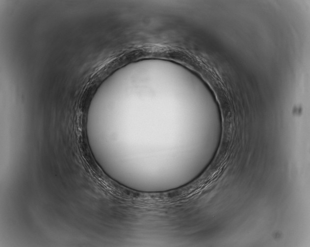 X0000101141301200806270727