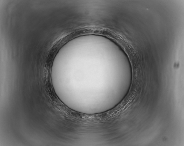 X0000101141302200806270727