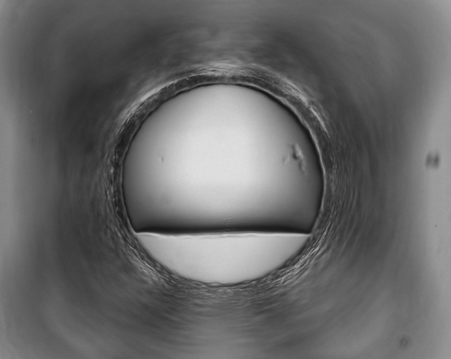 X0000101141304200806270727