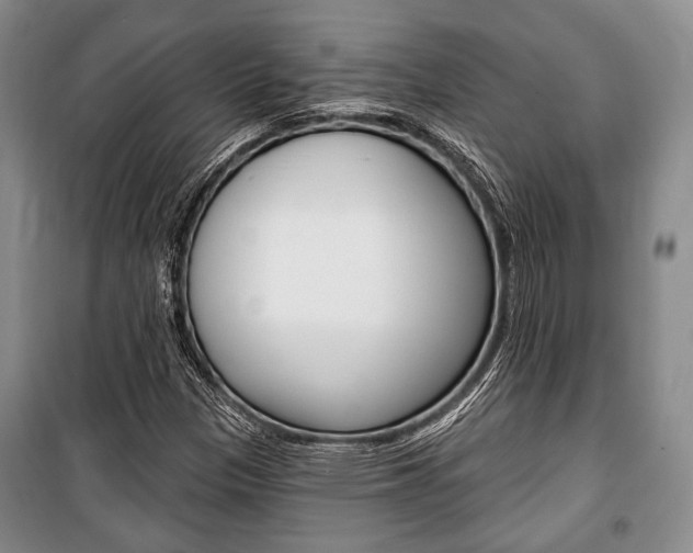 X0000101141305200806270727