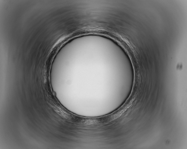 X0000101141306200806270727