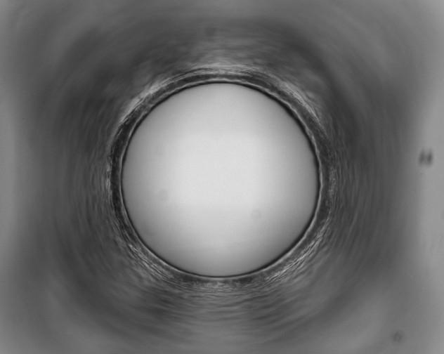 X0000101141307200806270727