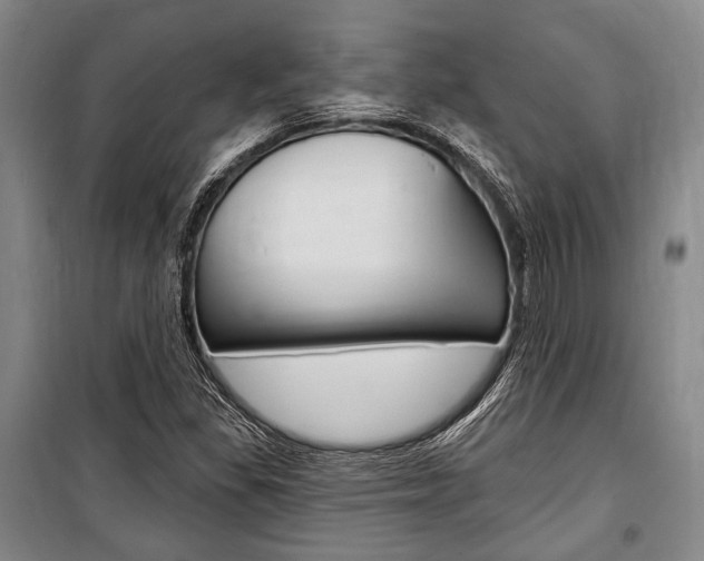 X0000101141309200806270727