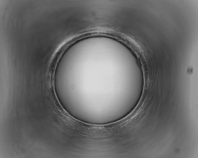 X0000101141310200806270727