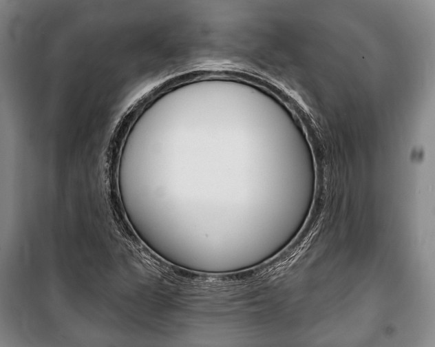 X0000101141311200806270727