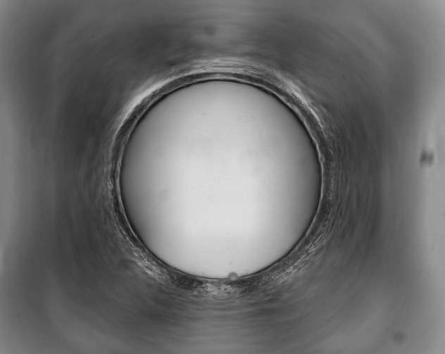 X0000101141312200806270727