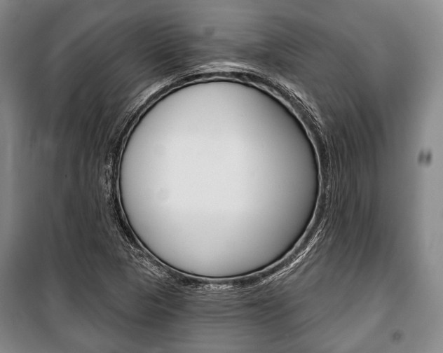 X0000101141313200806270727