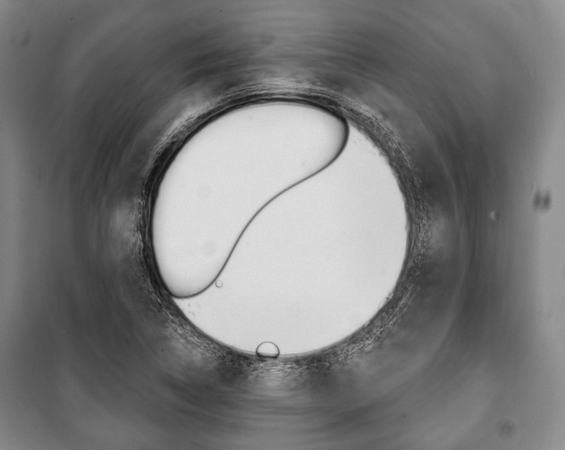 X0000101141314200806270727