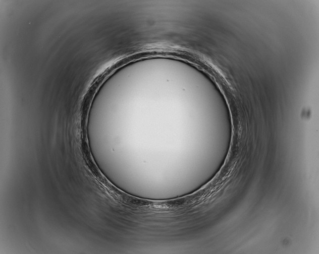 X0000101141315200806270727