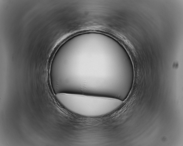 X0000101141316200806270727