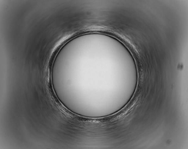 X0000101141317200806270727