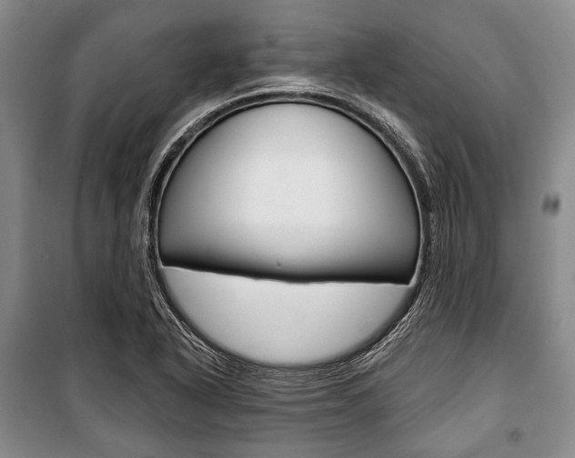 X0000101141318200806270727