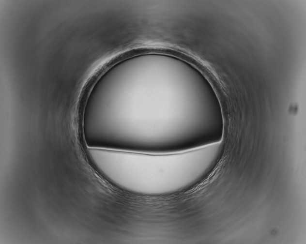 X0000101141319200806270727