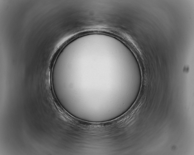 X0000101141320200806270727