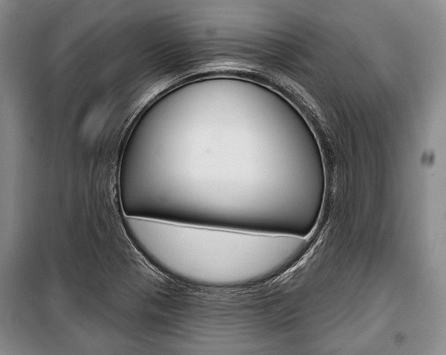 X0000101141321200806270727