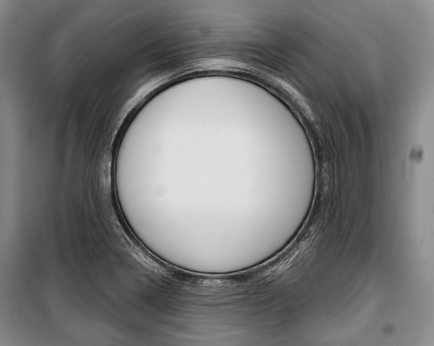 X0000101141322200806270727