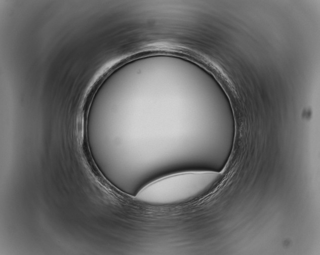 X0000101141323200806270727