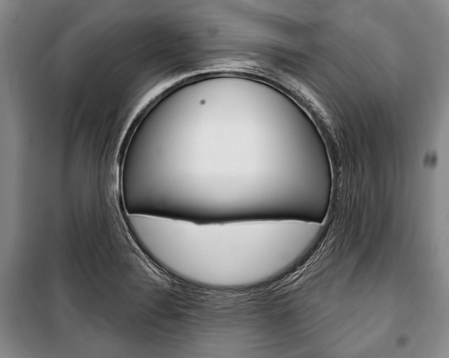X0000101141324200806270727