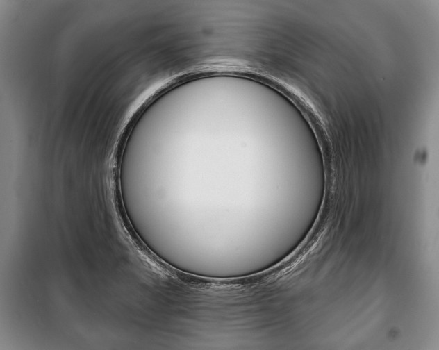 X0000101141325200806270727