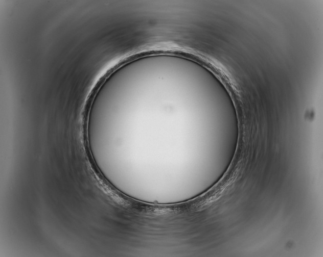 X0000101141326200806270727