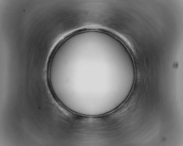 X0000101141327200806270727