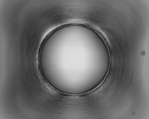 X0000101141328200806270727