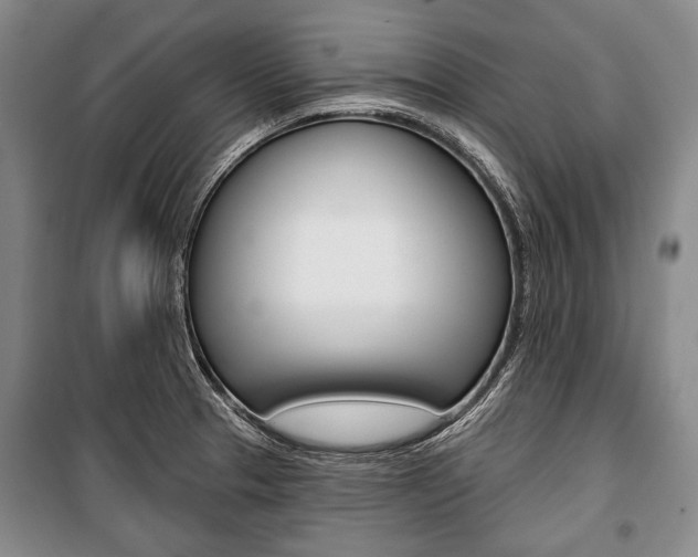 X0000101141329200806270727