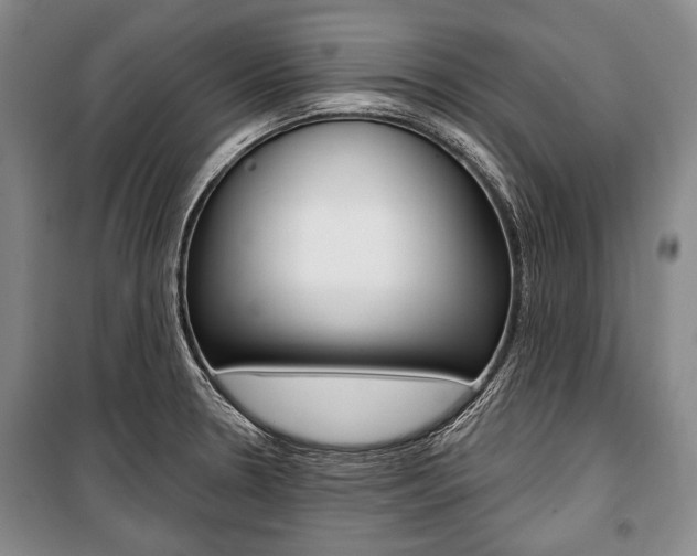 X0000101141330200806270727