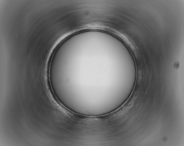 X0000101141331200806270727