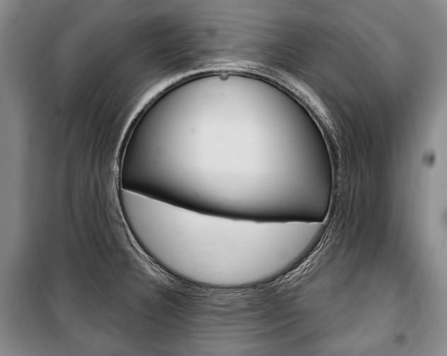 X0000101141332200806270727