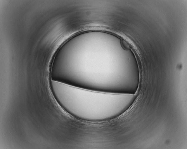 X0000101141333200806270727