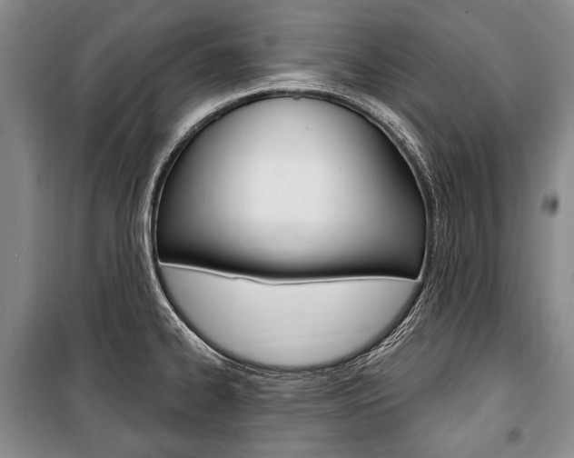 X0000101141334200806270727