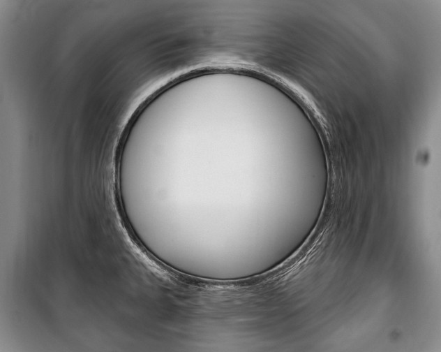 X0000101141335200806270727