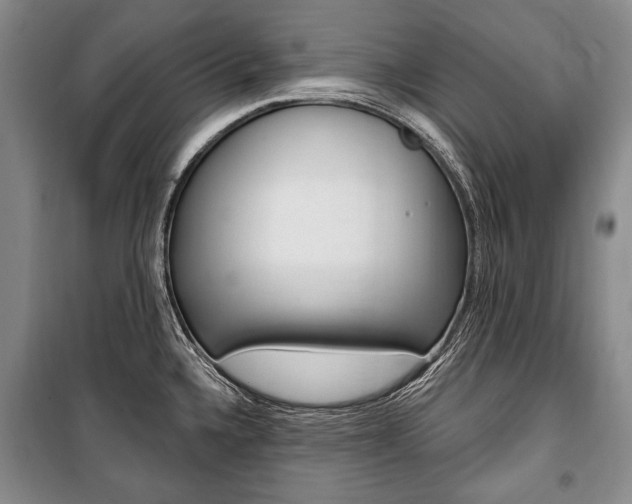 X0000101141336200806270727