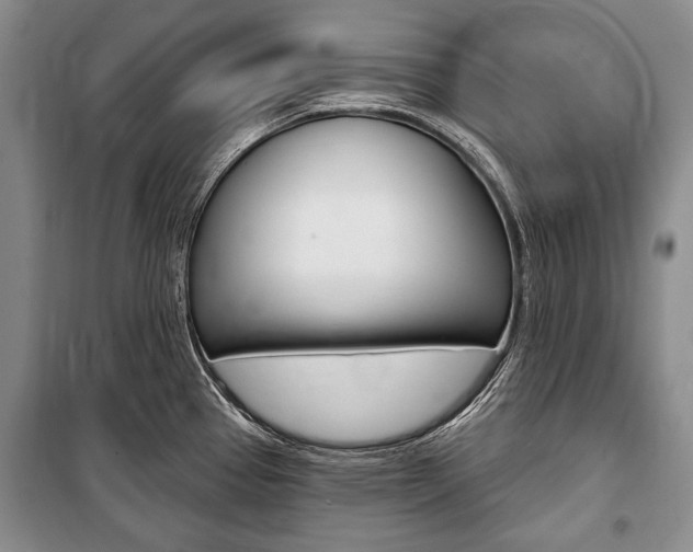 X0000101141337200806270727