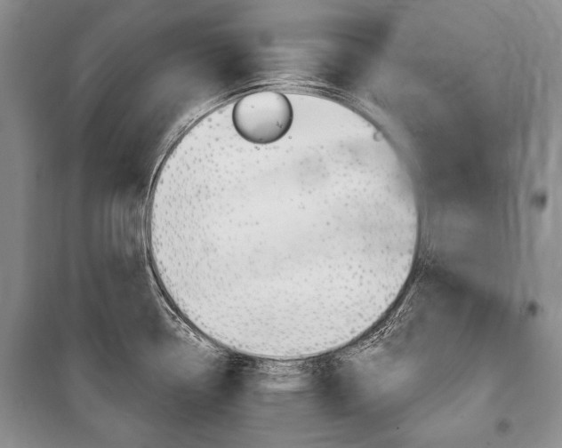 X0000101141338200806270727